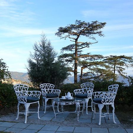 Springfields - A Heritage Palace Since 1902 Shimla Luaran gambar